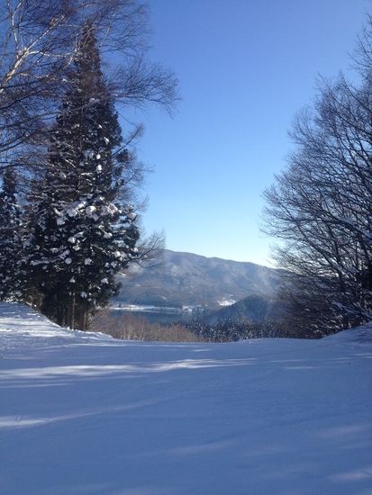 すいててサイコー|White Resort 白馬さのさかのクチコミ画像