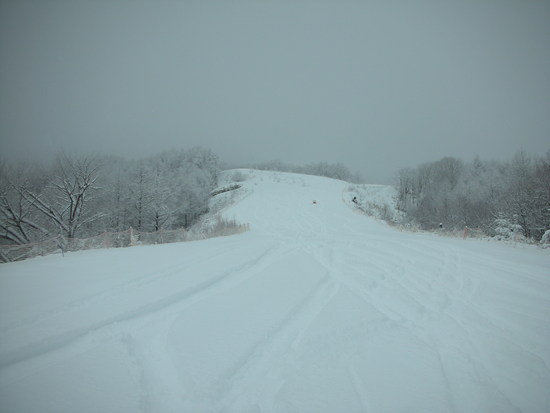 新雪ふかふか|鹿沢スノーエリアのクチコミ画像