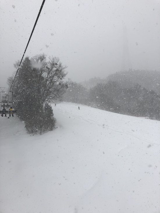 雪は少なかったけど|苗場スキー場のクチコミ画像