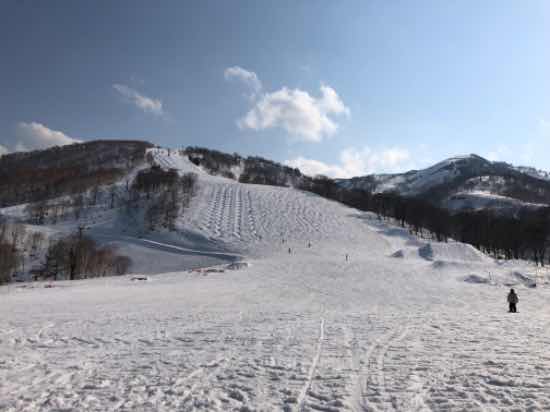 今朝は冷えて