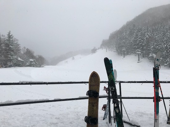プレミアムパウダーデー|ホワイトバレースキー場のクチコミ画像