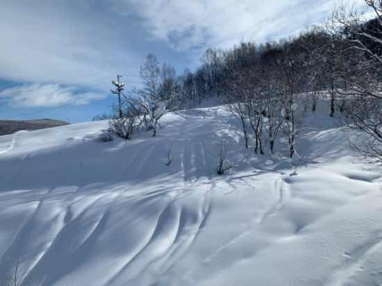 雪質はOK|美唄国設スキー場のクチコミ画像