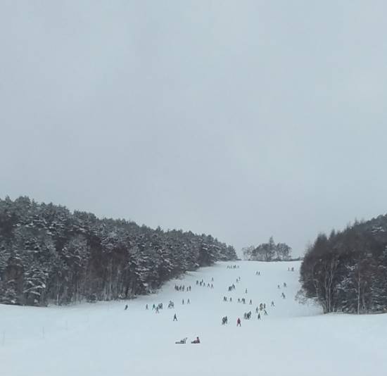 菅平高原スノーリゾートのフォトギャラリー5