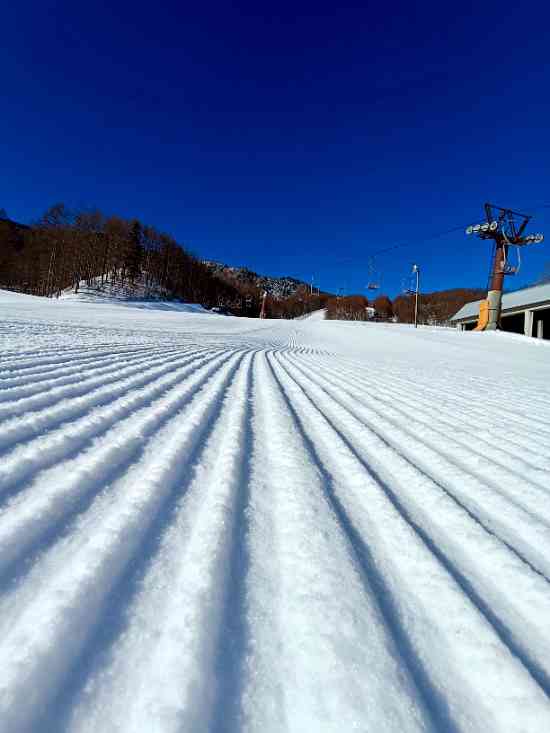 雪質最高