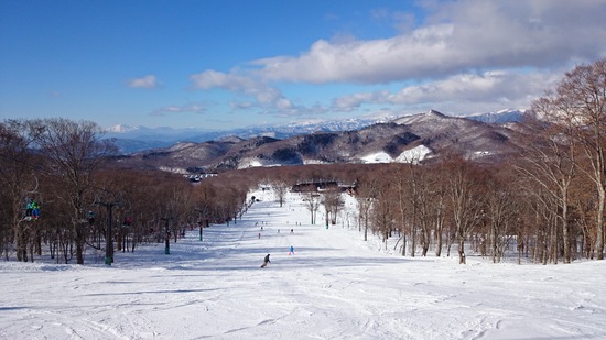 やっぱり「たんばら」雪質最高！|たんばらスキーパークのクチコミ画像