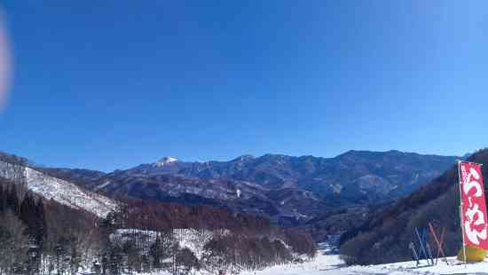 ワンダーランドかたしなレビューキャンペーン