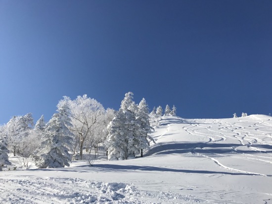 最高の雪景色❄️|志賀高原リゾート中央エリア（サンバレー～一の瀬）のクチコミ画像