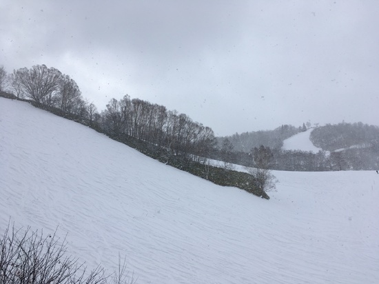 フカフカ|飛騨ほおのき平スキー場のクチコミ画像