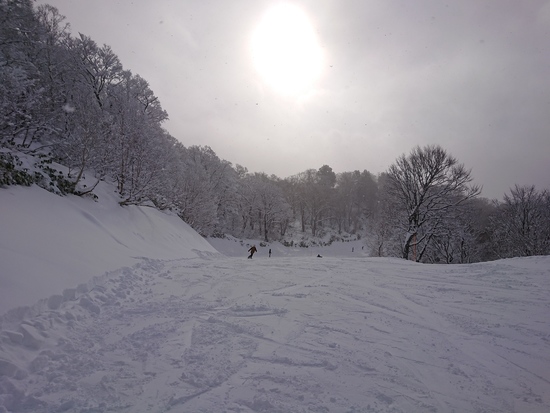 やっぱり天然雪|たんばらスキーパークのクチコミ画像