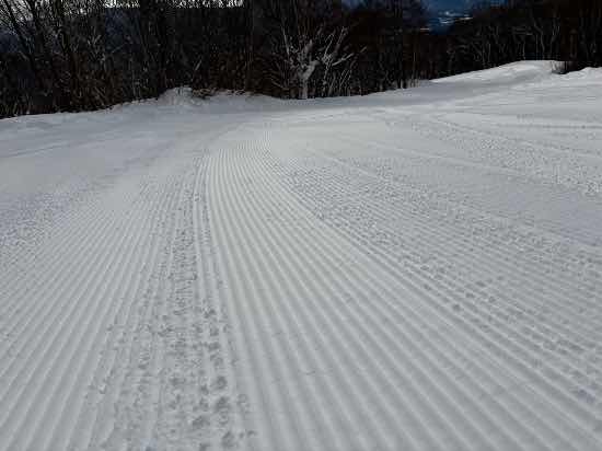 ワンダーランドかたしなレビューキャンペーン|ホワイトワールド尾瀬岩鞍のクチコミ画像