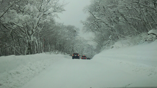雪質・施設ともに最高|だいせんホワイトリゾートのクチコミ画像