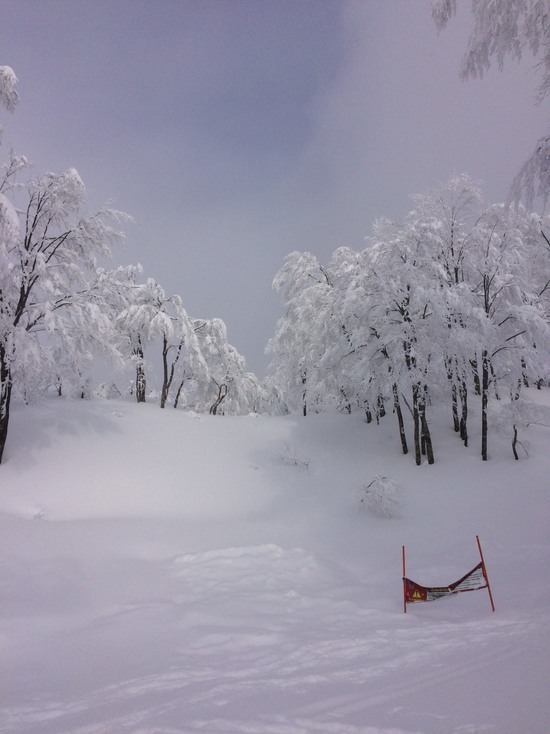 束の間の太陽|六日町八海山スキー場のクチコミ画像