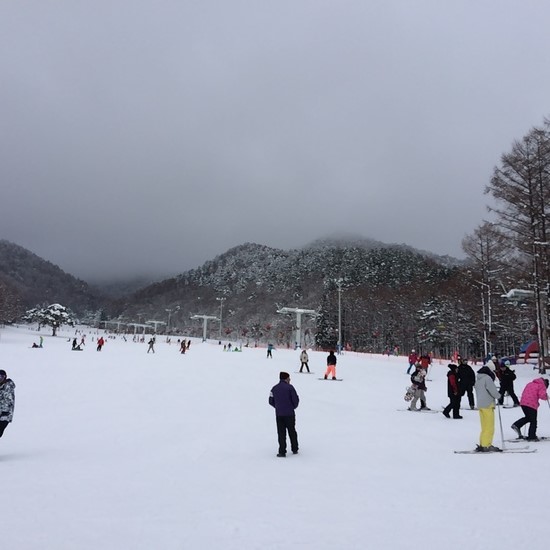 今年は早くから楽しめますね|箕輪スキー場のクチコミ画像