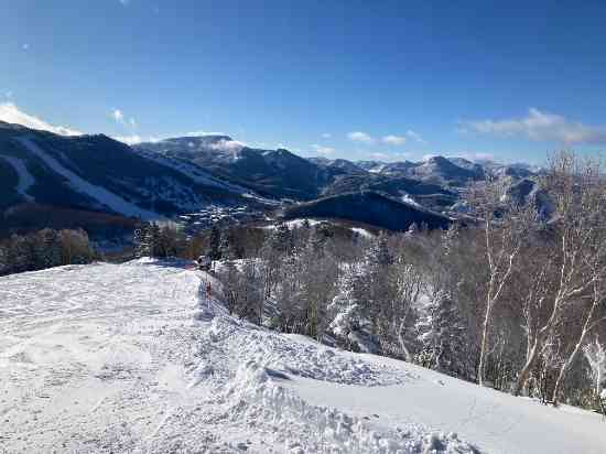 ストレスフリー万歳！