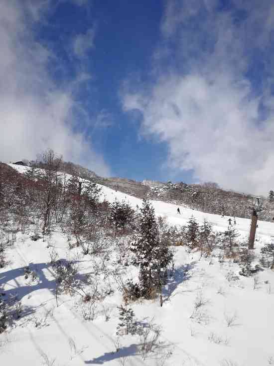 ワンダーランドかたしなレビューキャンペーン|ホワイトワールド尾瀬岩鞍のクチコミ画像