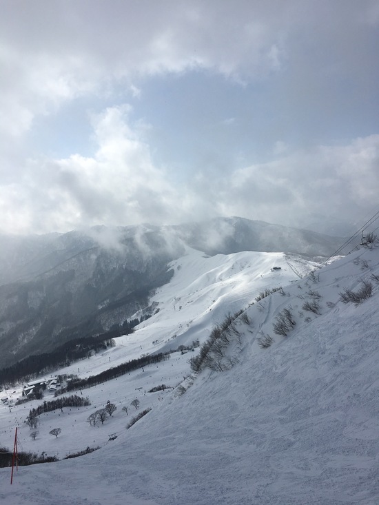 恵の雪に感謝です！|ハチ・ハチ北スキー場のクチコミ画像