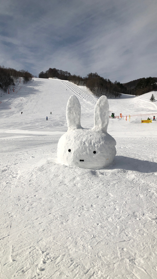 圧雪バーンだらけ|かたしな高原スキー場のクチコミ画像