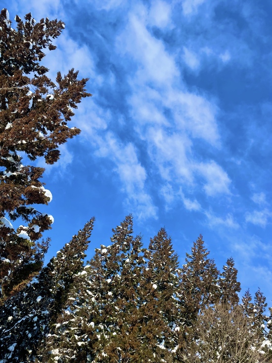 楽しかった！！|舞子スノーリゾートのクチコミ画像2