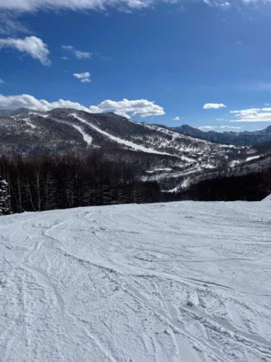 雪質がたまらなく良い|志賀高原 焼額山スキー場のクチコミ画像