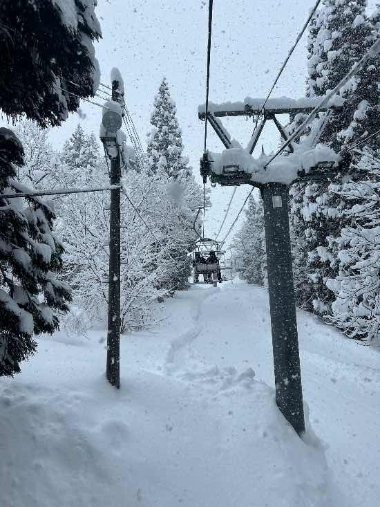 パウダー三昧|舞子スノーリゾートのクチコミ画像3