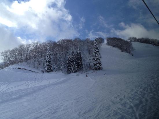 パウダー三昧、最高の雪質！|のクチコミ画像