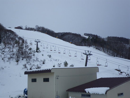 初滑り|白馬八方尾根スキー場のクチコミ画像