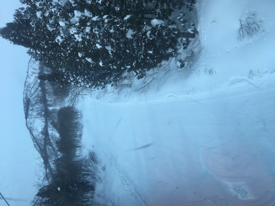 良い雪でした|かぐらスキー場のクチコミ画像
