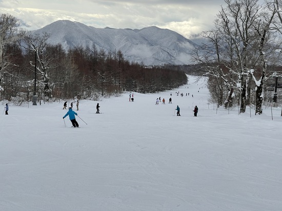 雪質良いですね|のクチコミ画像