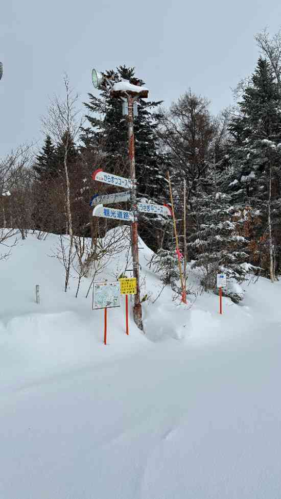 スキー専門|札幌藻岩山スキー場のクチコミ画像2