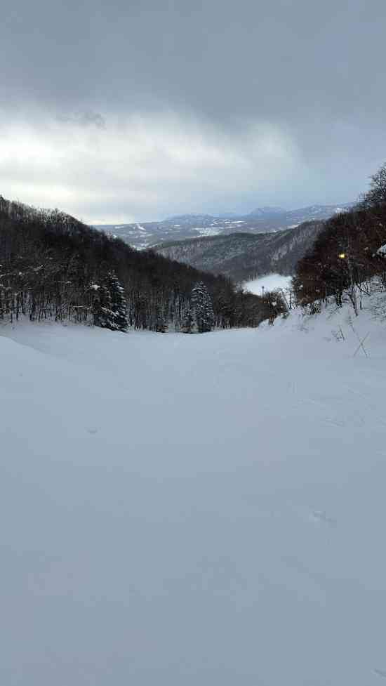 スキー専門|札幌藻岩山スキー場のクチコミ画像3