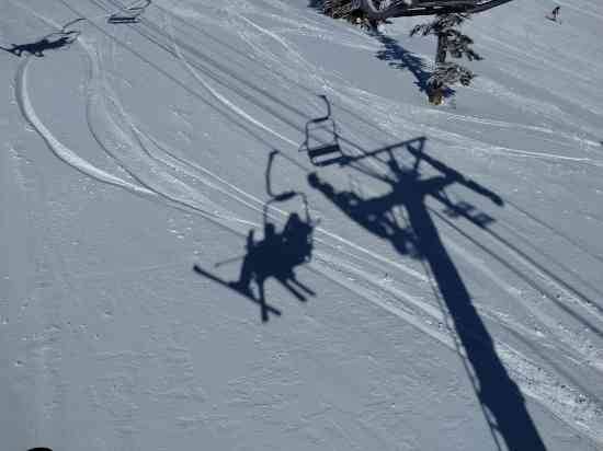 ワンダーランドかたしなレビューキャンペーン