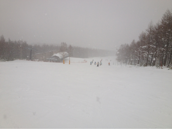 新雪が楽しめました！|のクチコミ画像