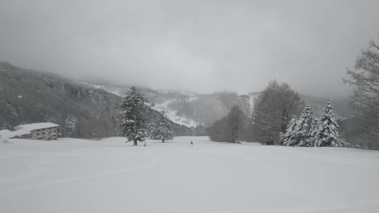 新雪最高|志賀高原リゾート中央エリア（サンバレー～一の瀬）のクチコミ画像2