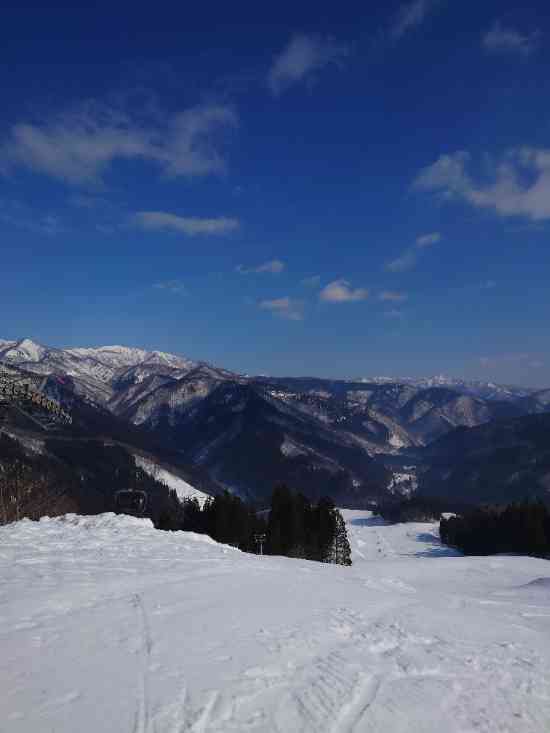 いい天気でパーク日和でした！