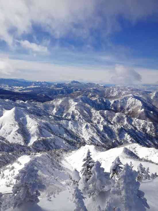 ワンダーランドかたしなレビューキャンペーン