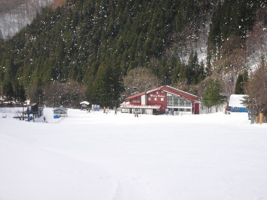 深雪狙い|ホワイトバレースキー場のクチコミ画像