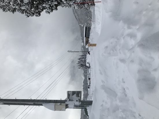 ヘビーな大雪|野沢温泉スキー場のクチコミ画像