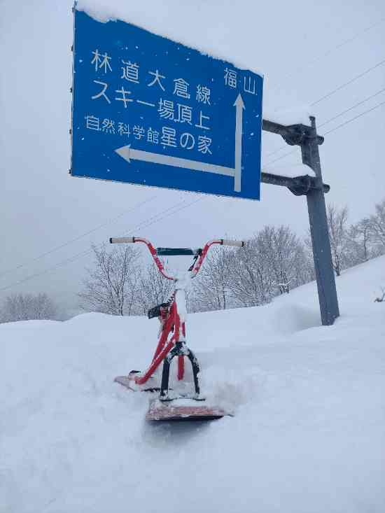パウダー