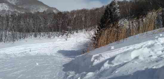 ワンダーランドかたしなレビューキャンペーン|スノーパーク尾瀬戸倉のクチコミ画像