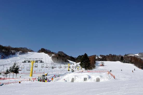ワンダーランドかたしなレビューキャンペーン|かたしな高原スキー場のクチコミ画像