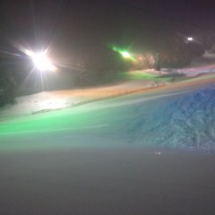 今シーズン初☆|のクチコミ画像