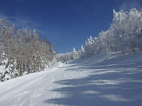 雪一色 2|のクチコミ画像