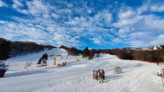 ワンダーランドかたしなレビューキャンペーン|かたしな高原スキー場のクチコミ画像