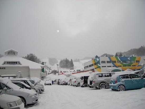 今シーズントップクラスの雪質か？|ホワイトピアたかすのクチコミ画像