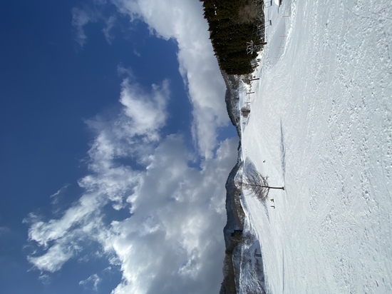 快晴|おじろスキー場のクチコミ画像3