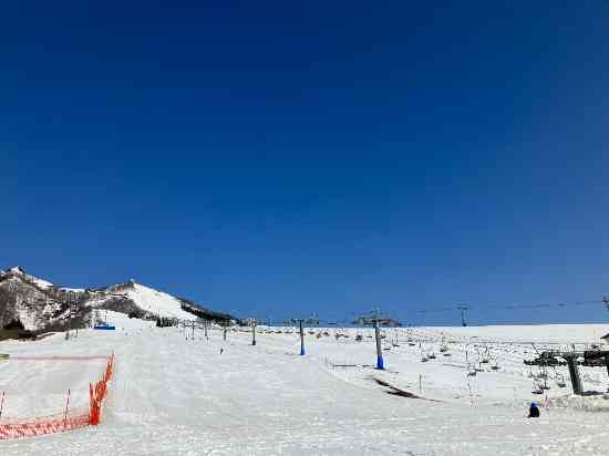 中腹からは雪あり|岩原スキー場のクチコミ画像