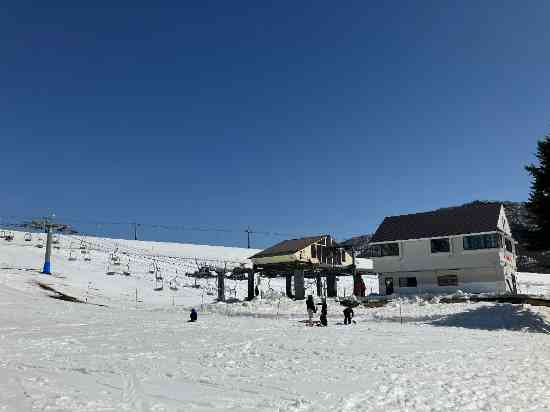 中腹からは雪あり|岩原スキー場のクチコミ画像3