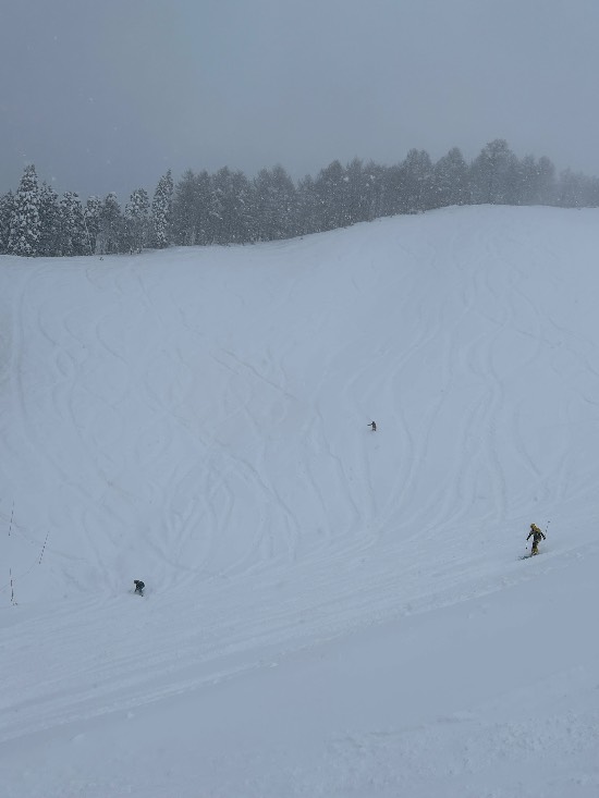 気温も低く軽〜いパウダー三昧！|のクチコミ画像