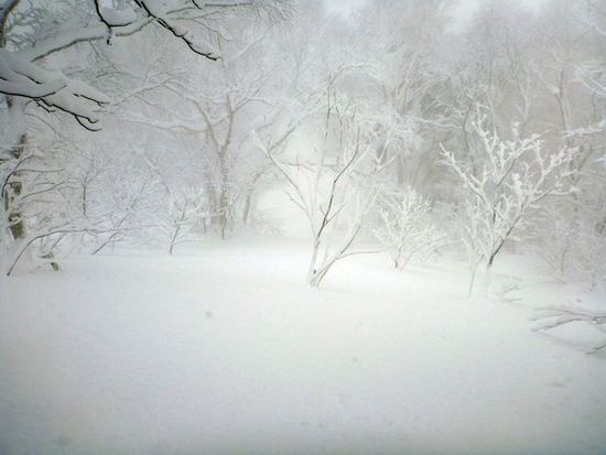 この時期にしては最高|サッポロテイネのクチコミ画像