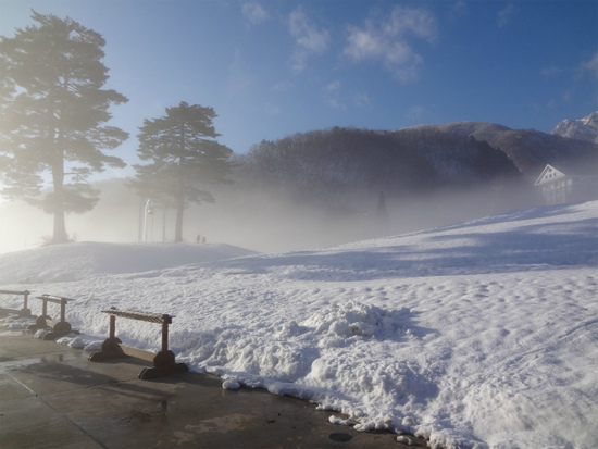 新雪の深雪！|エイブル白馬五竜のクチコミ画像